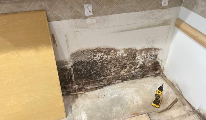 Pure Maintenance Mold Remediation - Jacksonville