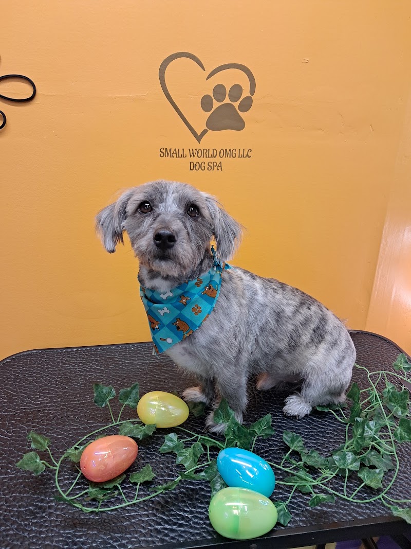 Small World OMG, LLC Dog Spa
