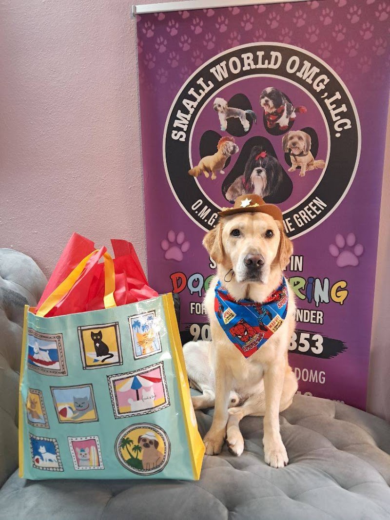 Small World OMG, LLC Dog Spa