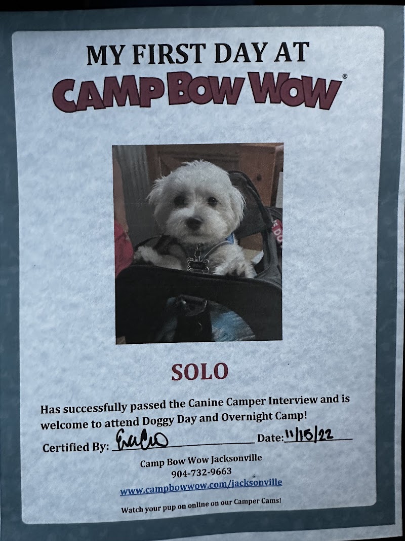 Camp Bow Wow Jacksonville