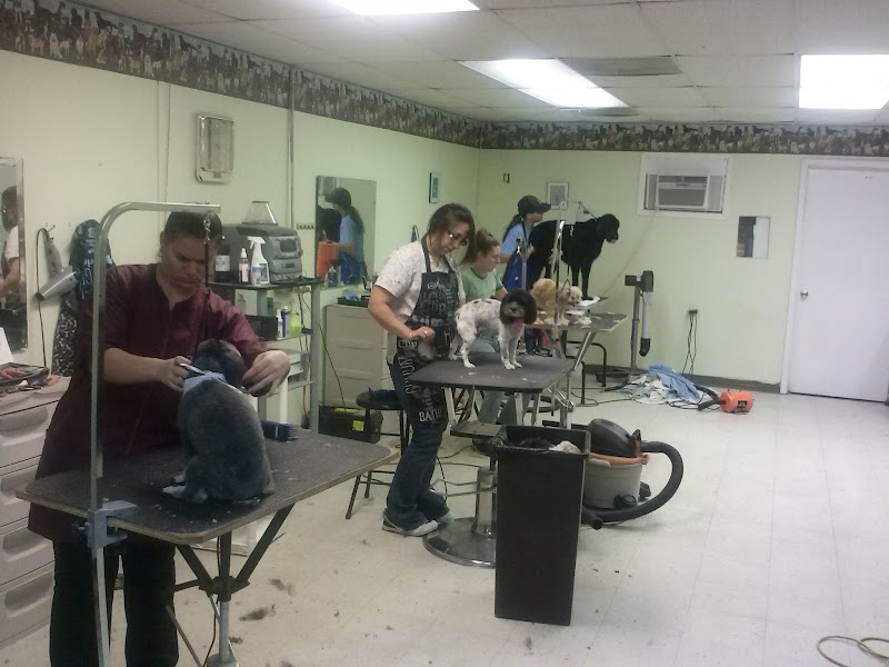 All Pets Grooming Salon