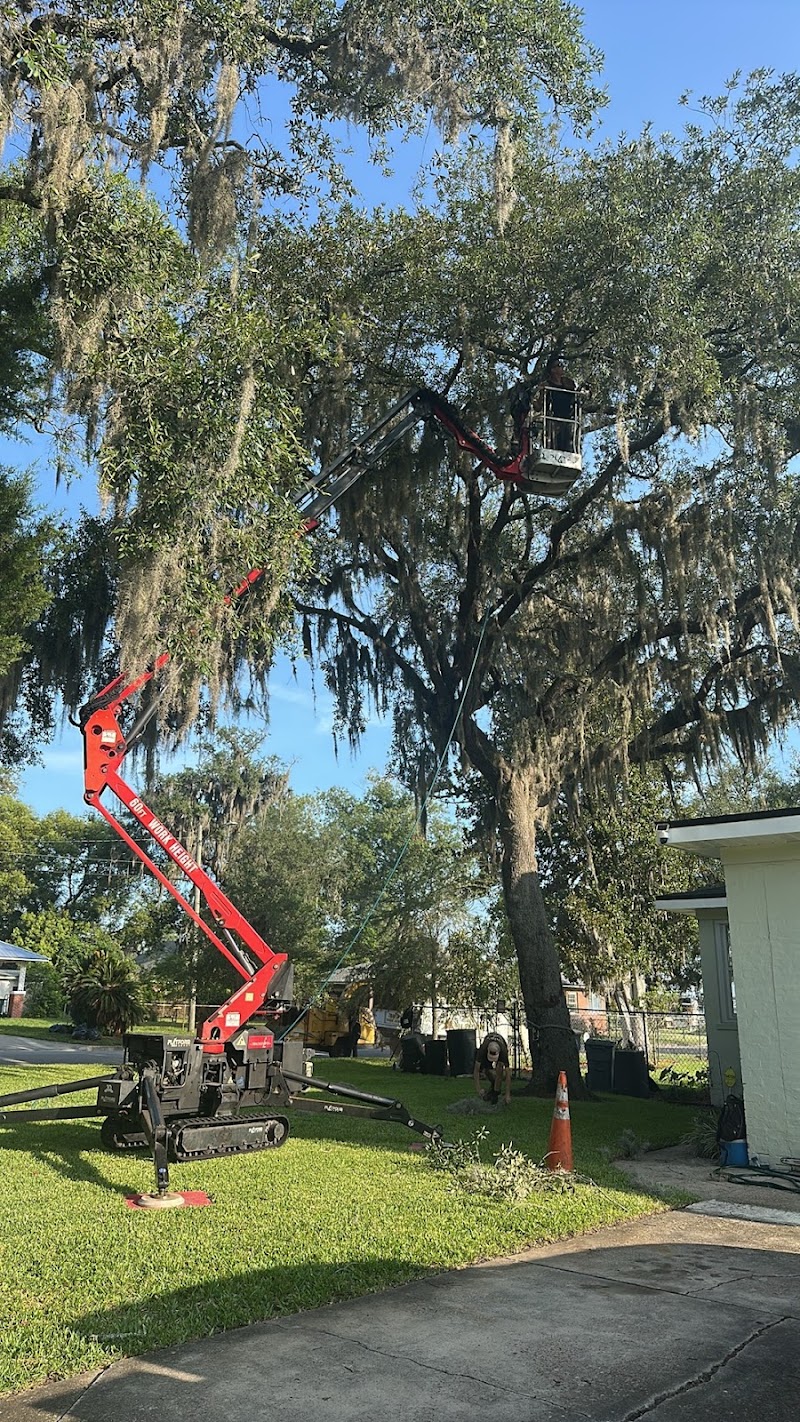Chip's Tree Service