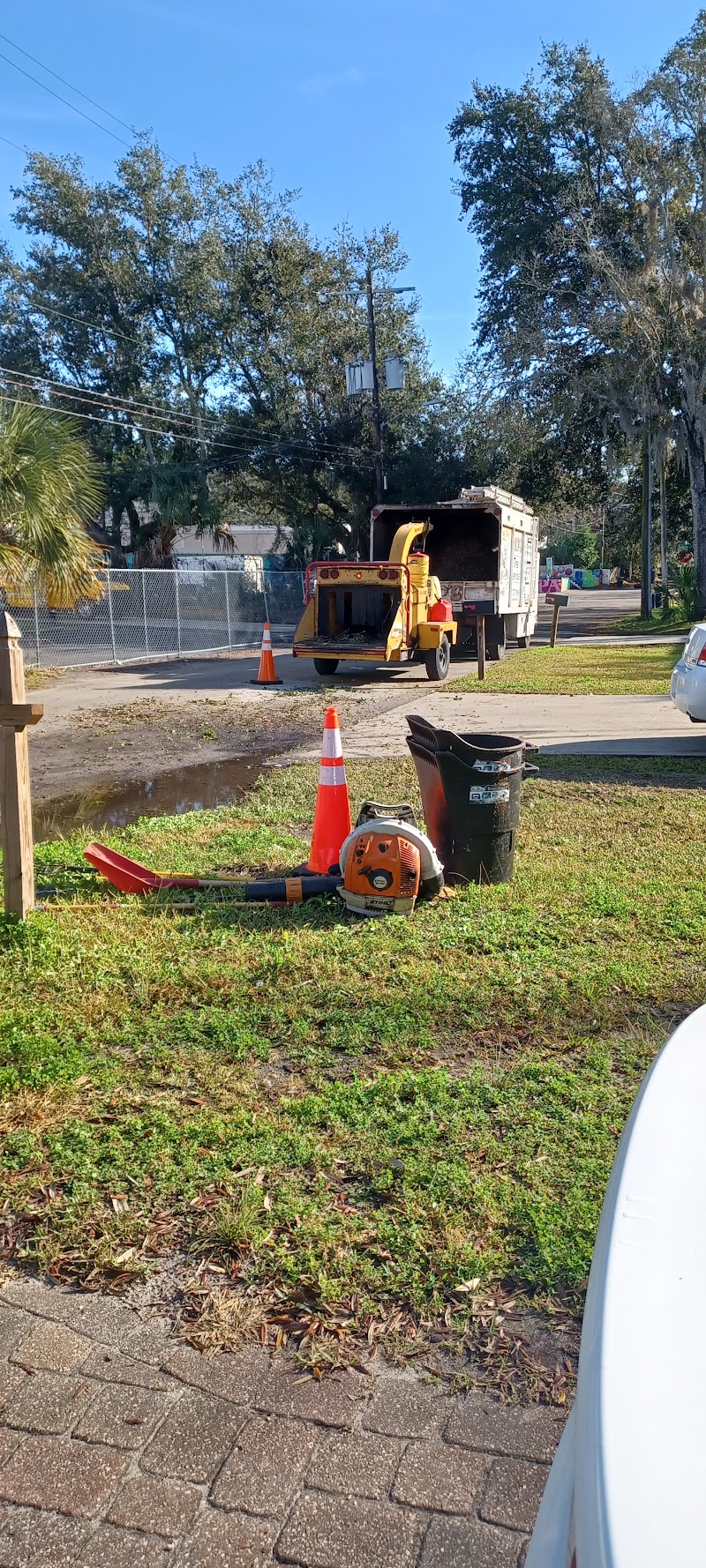 Chip's Tree Service