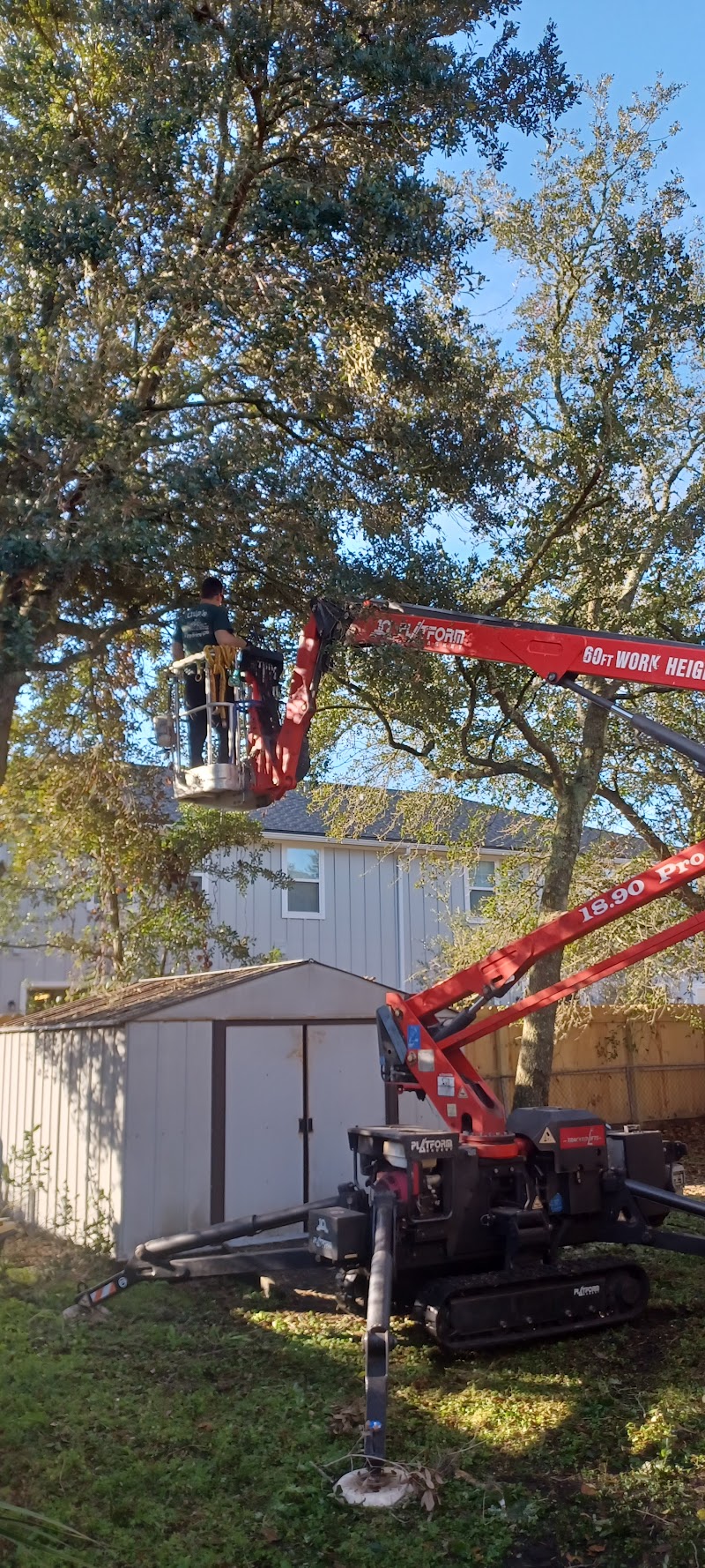 Chip's Tree Service